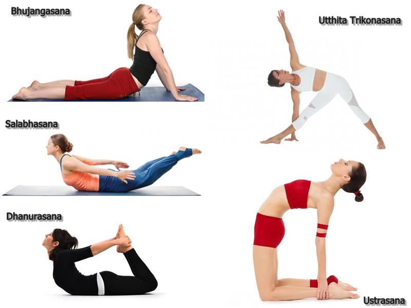 Posturas del Hatha Yoga