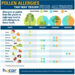 alergias-alimentarias-y-polen-de-abedul-causas-sintomas-y-tratamiento