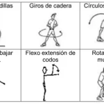 movilidad-articular-en-educacion-fisica-clave-para-flexibilidad-estiramientos-y-prevencion-de-lesiones